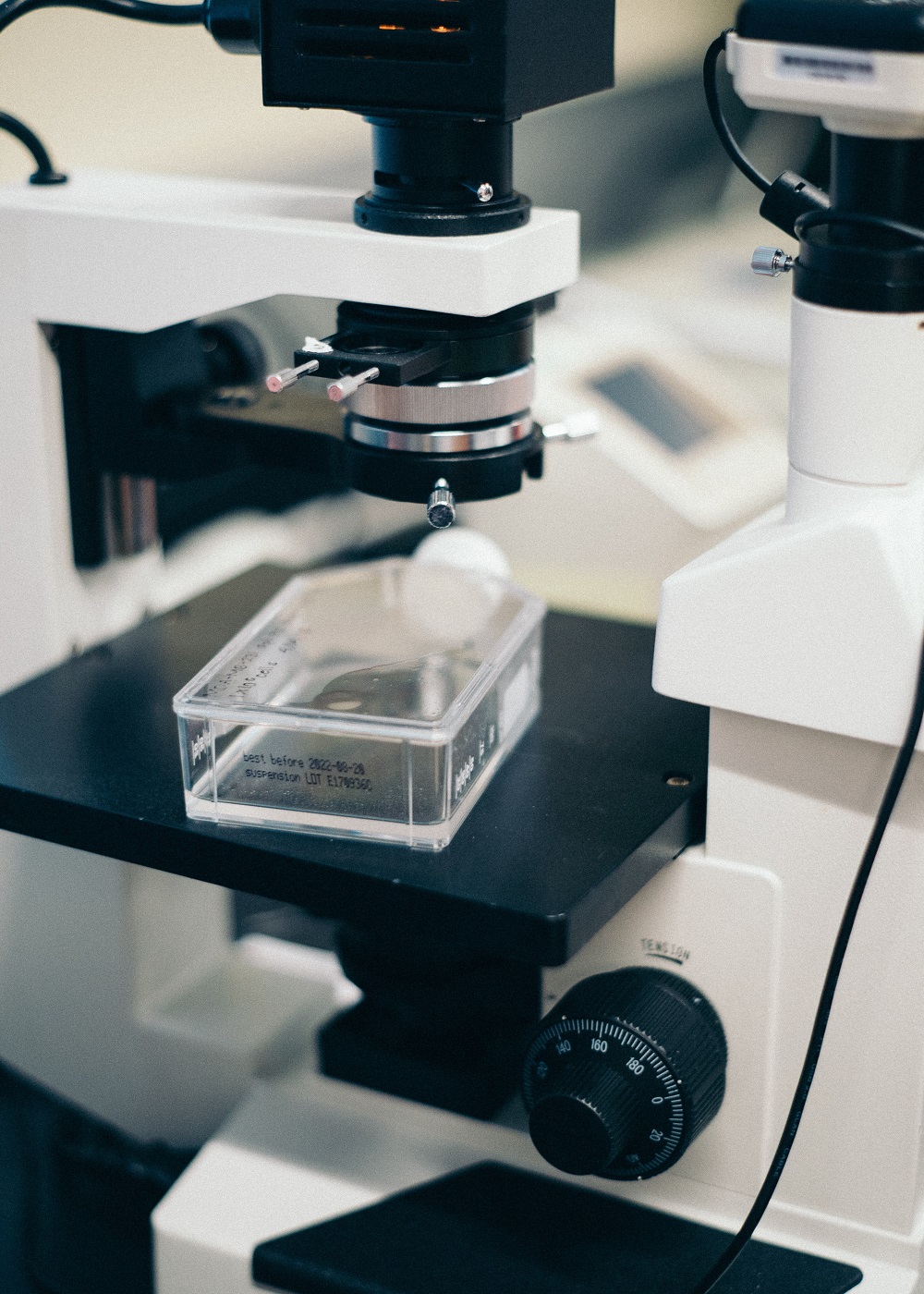 Creación del Departamento de Investigación de Laboratorios Viñas.
